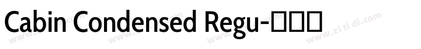 Cabin Condensed Regu字体转换